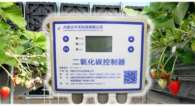 中國(guó)北方CO?新技術(shù)，將促進(jìn)農(nóng)作物光合作用和光合產(chǎn)物的生成